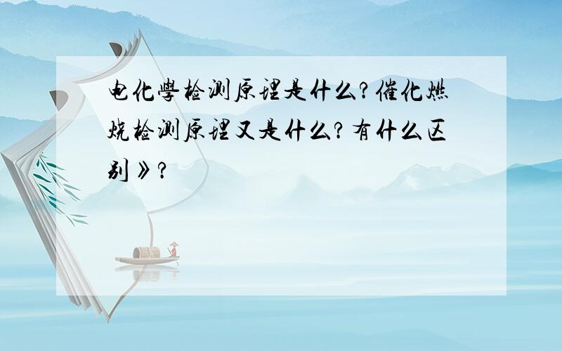 电化学检测原理是什么?催化燃烧检测原理又是什么?有什么区别》?