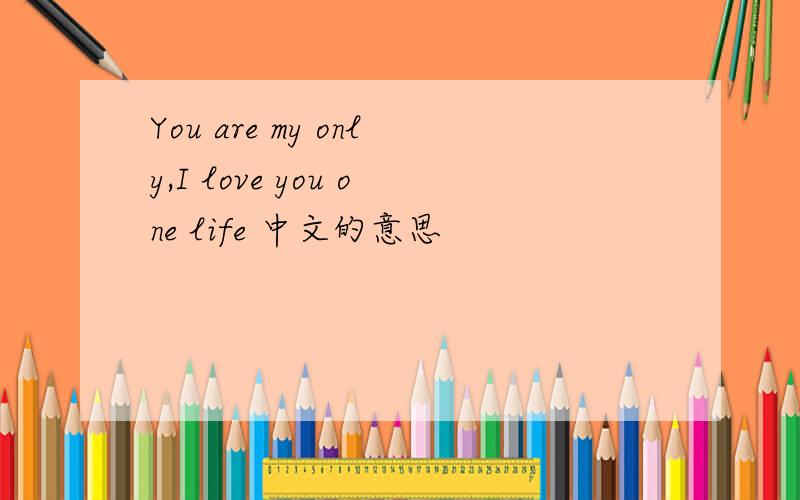 You are my only,I love you one life 中文的意思