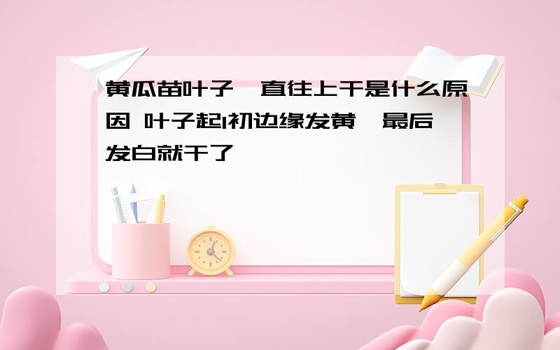 黄瓜苗叶子一直往上干是什么原因 叶子起1初边缘发黄,最后发白就干了