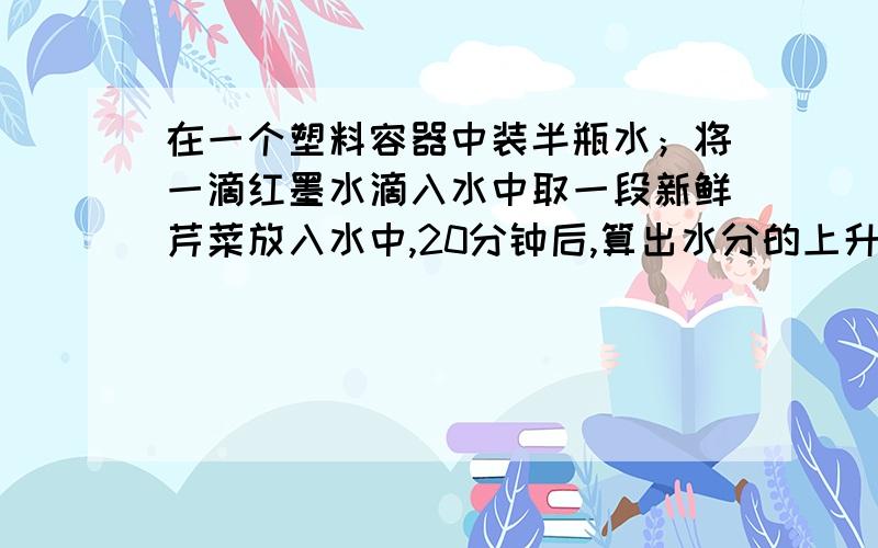 在一个塑料容器中装半瓶水；将一滴红墨水滴入水中取一段新鲜芹菜放入水中,20分钟后,算出水分的上升速度