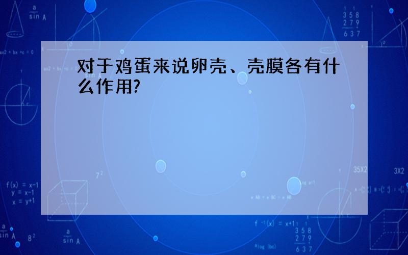 对于鸡蛋来说卵壳、壳膜各有什么作用?