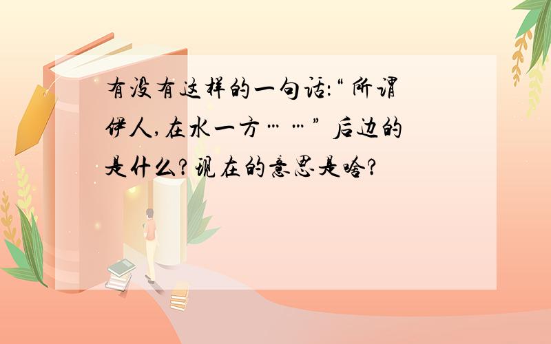 有没有这样的一句话：“ 所谓伊人,在水一方……” 后边的是什么?现在的意思是啥?