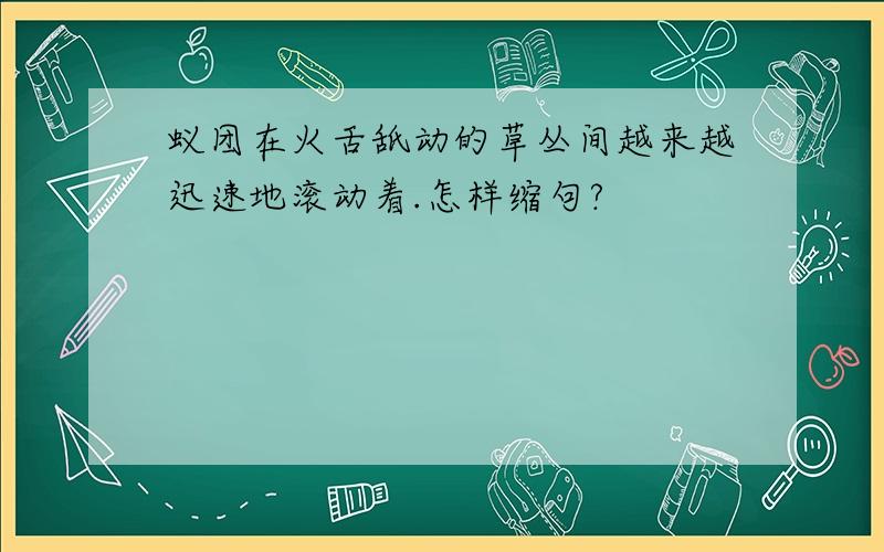 蚁团在火舌舐动的草丛间越来越迅速地滚动着.怎样缩句?