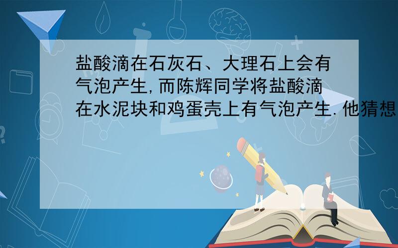 盐酸滴在石灰石、大理石上会有气泡产生,而陈辉同学将盐酸滴在水泥块和鸡蛋壳上有气泡产生.他猜想,盐酸与水泥块、鸡蛋壳接触产