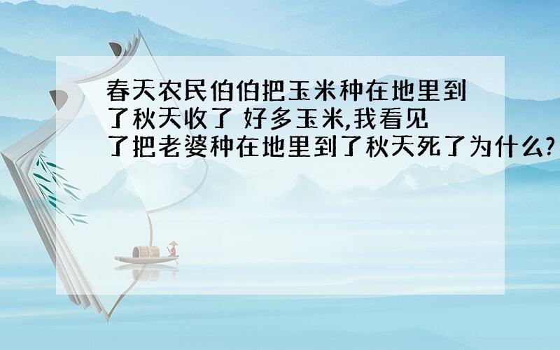 春天农民伯伯把玉米种在地里到了秋天收了 好多玉米,我看见了把老婆种在地里到了秋天死了为什么?