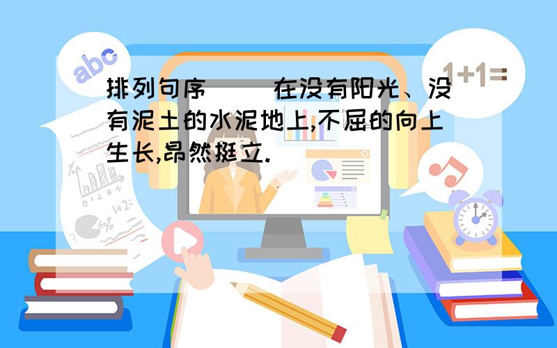 排列句序（ ）在没有阳光、没有泥土的水泥地上,不屈的向上生长,昂然挺立.（ ）