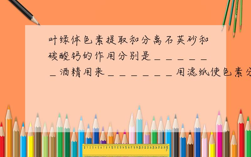 叶绿体色素提取和分离石英砂和碳酸钙的作用分别是＿＿＿＿＿＿酒精用来＿＿＿＿＿＿用滤纸使色素分离的原理是＿＿＿＿＿＿＿