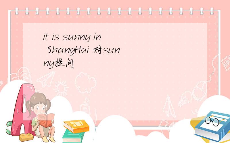 it is sunny in ShangHai 对sunny提问