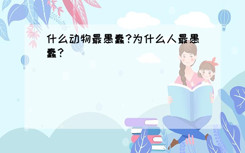 什么动物最愚蠢?为什么人最愚蠢?