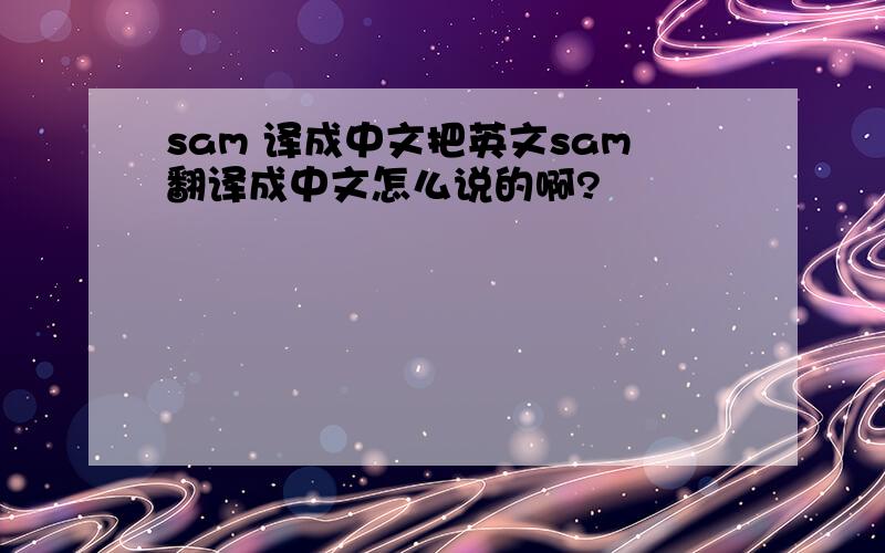 sam 译成中文把英文sam翻译成中文怎么说的啊?