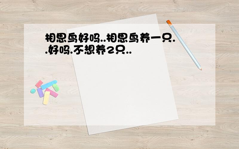 相思鸟好吗..相思鸟养一只..好吗.不想养2只..