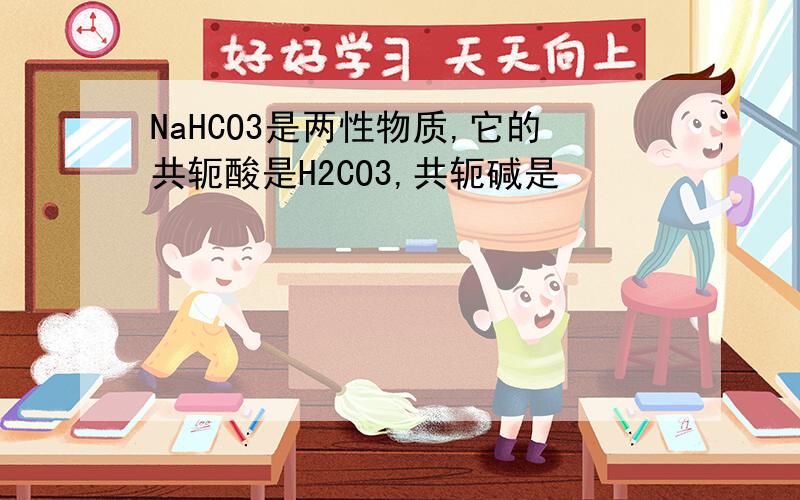 NaHCO3是两性物质,它的共轭酸是H2CO3,共轭碱是