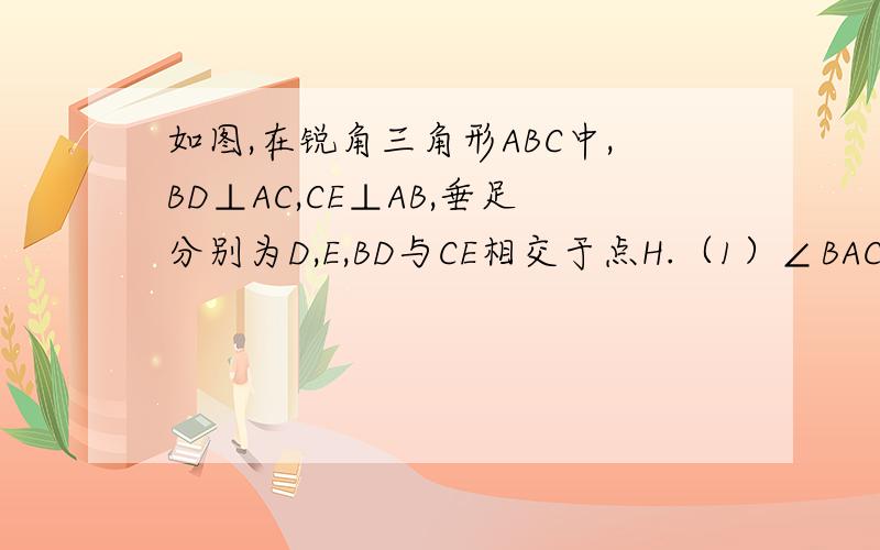 如图,在锐角三角形ABC中,BD⊥AC,CE⊥AB,垂足分别为D,E,BD与CE相交于点H.（1）∠BAC与∠BHE相等