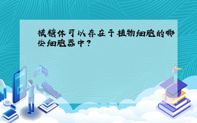 核糖体可以存在于植物细胞的哪些细胞器中?