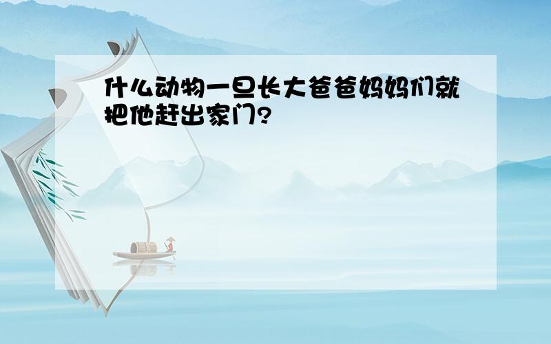 什么动物一旦长大爸爸妈妈们就把他赶出家门?