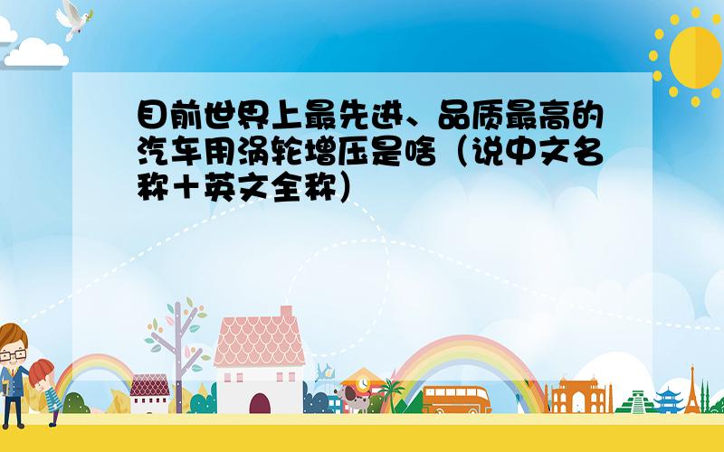 目前世界上最先进、品质最高的汽车用涡轮增压是啥（说中文名称＋英文全称）