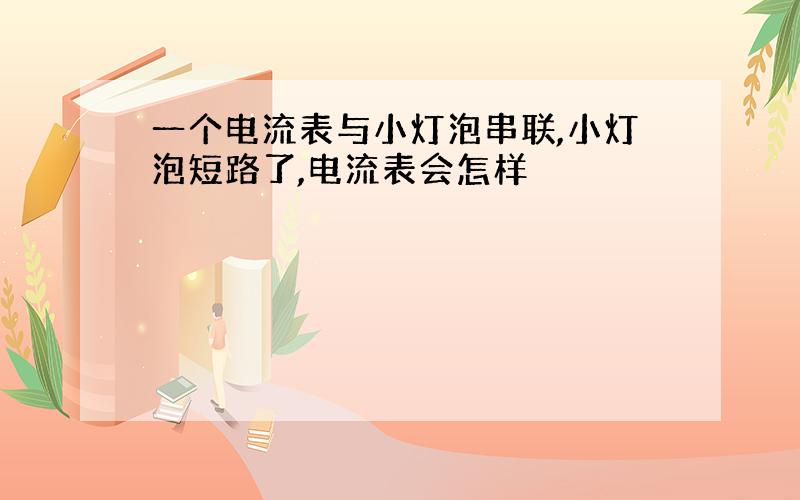 一个电流表与小灯泡串联,小灯泡短路了,电流表会怎样