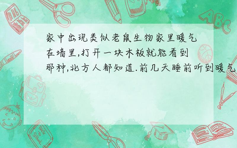 家中出现类似老鼠生物家里暖气在墙里,打开一块木板就能看到那种,北方人都知道.前几天睡前听到暖气管有动静,以为邻居装修没在