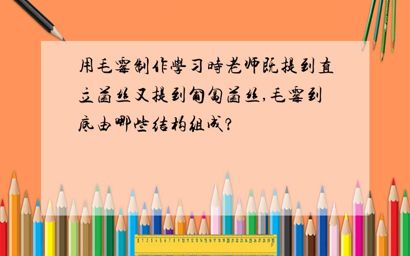 用毛霉制作学习时老师既提到直立菌丝又提到匍匐菌丝,毛霉到底由哪些结构组成?