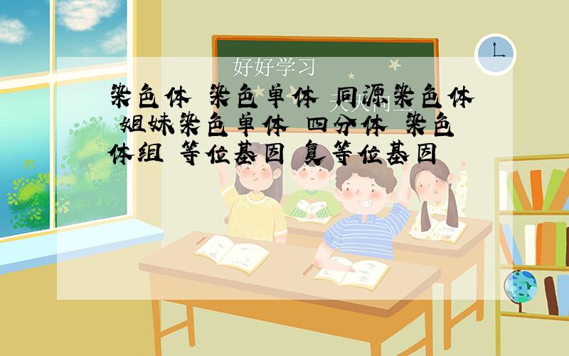 染色体 染色单体 同源染色体 姐妹染色单体 四分体 染色体组 等位基因 复等位基因