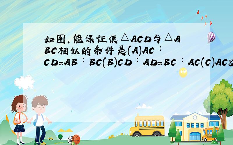 如图,能保证使△ACD与△ABC相似的条件是(A)AC∶CD=AB∶BC(B)CD∶AD=BC∶AC(C)AC²