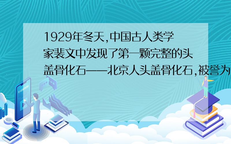 1929年冬天,中国古人类学家裴文中发现了第一颗完整的头盖骨化石——北京人头盖骨化石,被誉为