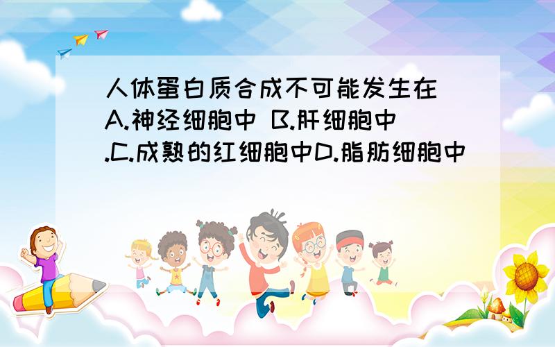 人体蛋白质合成不可能发生在 A.神经细胞中 B.肝细胞中.C.成熟的红细胞中D.脂肪细胞中