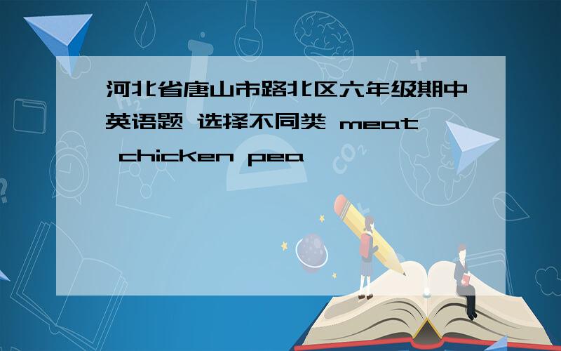 河北省唐山市路北区六年级期中英语题 选择不同类 meat chicken pea