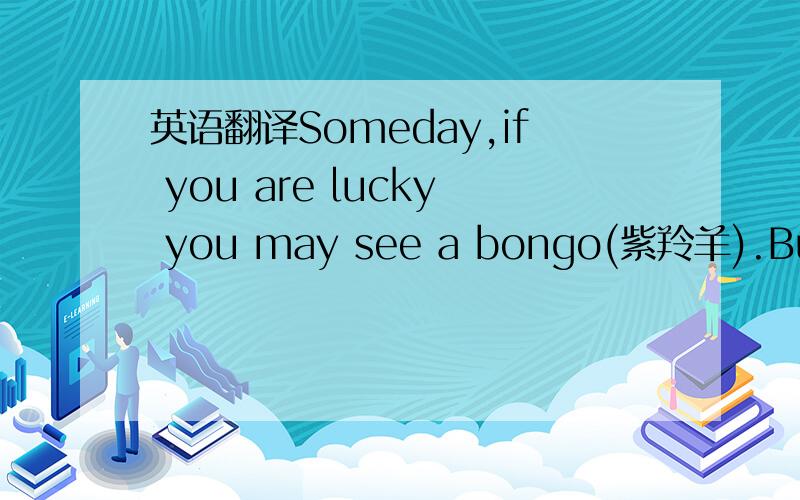 英语翻译Someday,if you are lucky you may see a bongo(紫羚羊).But th