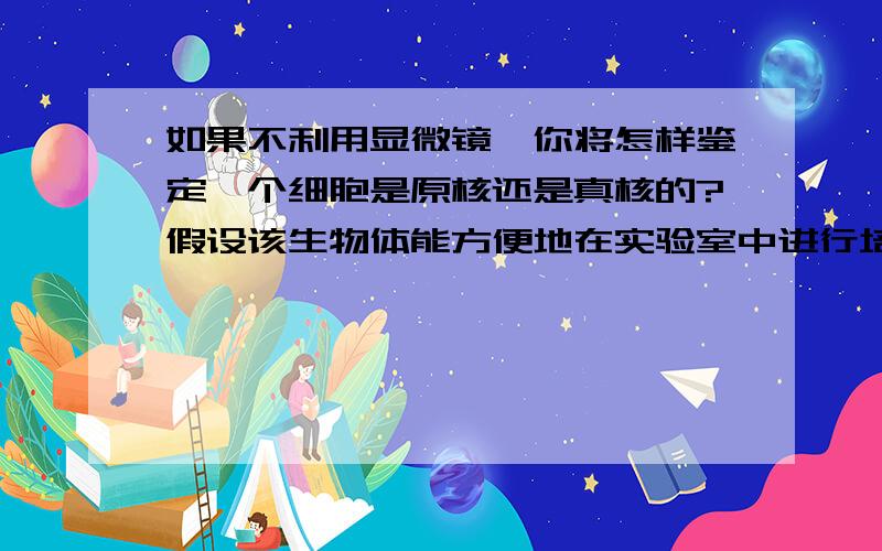 如果不利用显微镜,你将怎样鉴定一个细胞是原核还是真核的?假设该生物体能方便地在实验室中进行培养.