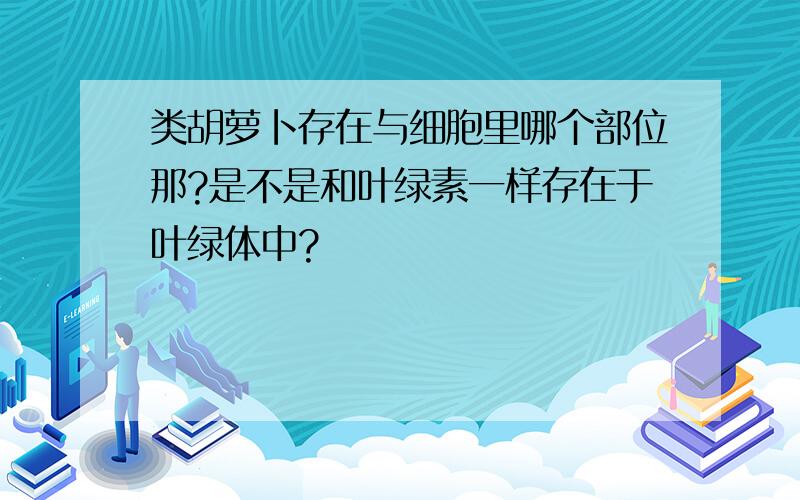 类胡萝卜存在与细胞里哪个部位那?是不是和叶绿素一样存在于叶绿体中?