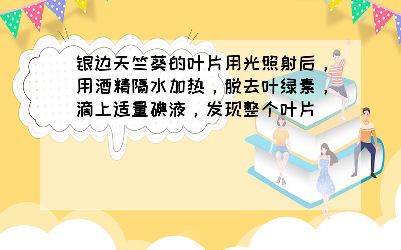 银边天竺葵的叶片用光照射后，用酒精隔水加热，脱去叶绿素，滴上适量碘液，发现整个叶片（　　）