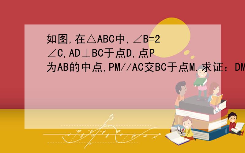 如图,在△ABC中,∠B=2∠C,AD⊥BC于点D,点P为AB的中点,PM//AC交BC于点M.求证：DM=1/2AB