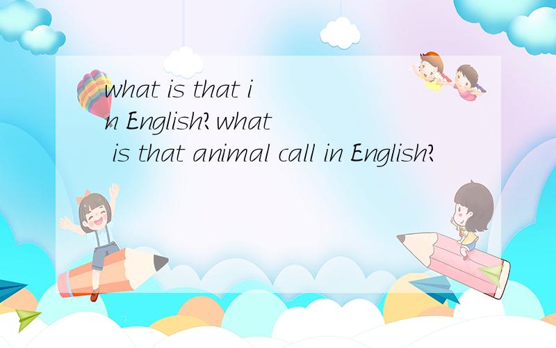 what is that in English?what is that animal call in English?