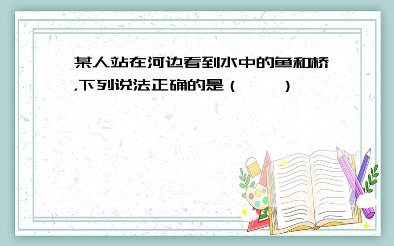 某人站在河边看到水中的鱼和桥，下列说法正确的是（　　）