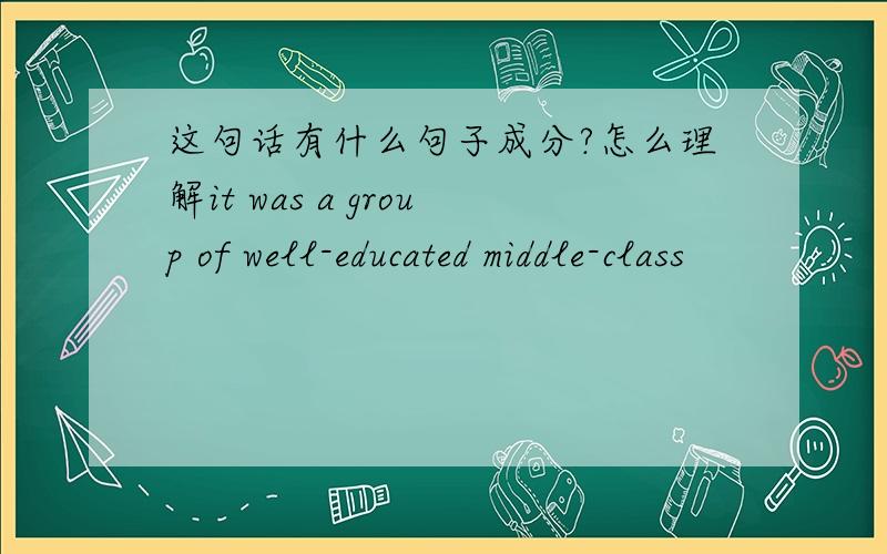 这句话有什么句子成分?怎么理解it was a group of well-educated middle-class