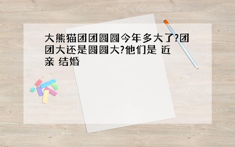 大熊猫团团圆圆今年多大了?团团大还是圆圆大?他们是 近 亲 结婚