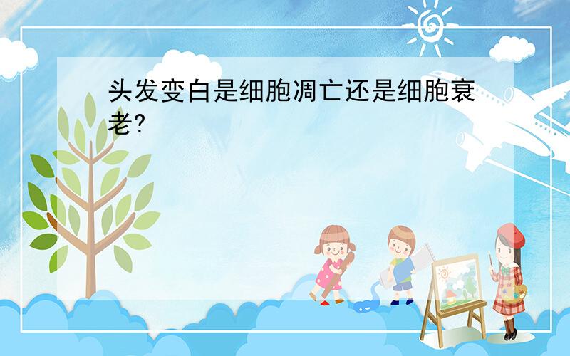 头发变白是细胞凋亡还是细胞衰老?