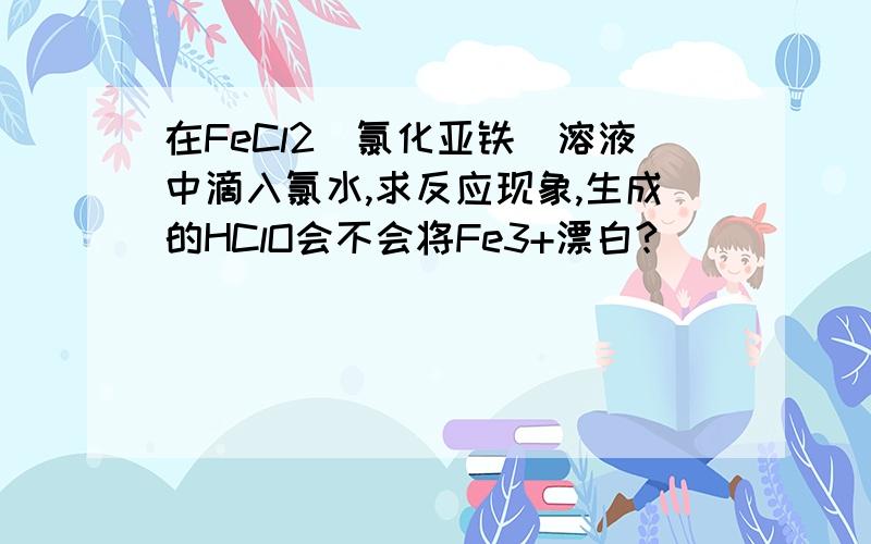 在FeCl2(氯化亚铁)溶液中滴入氯水,求反应现象,生成的HClO会不会将Fe3+漂白?