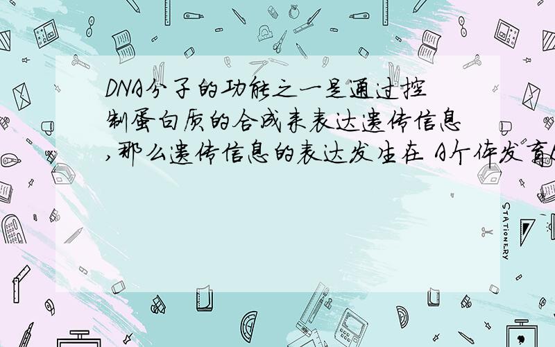 DNA分子的功能之一是通过控制蛋白质的合成来表达遗传信息,那么遗传信息的表达发生在 A个体发育B