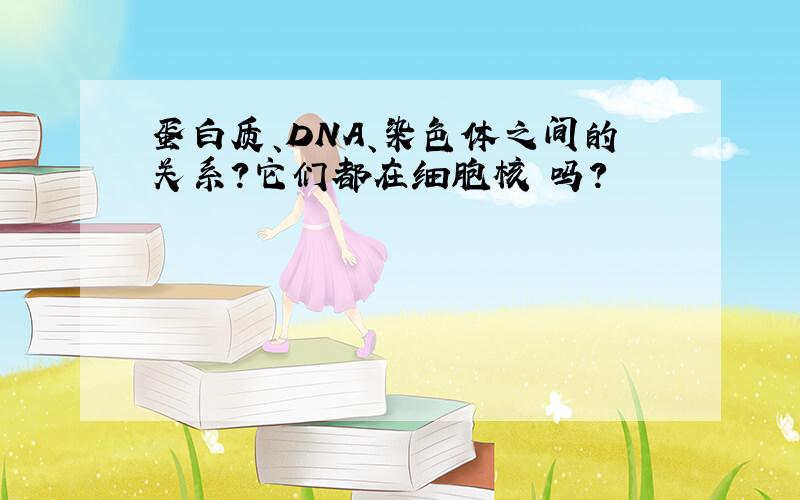 蛋白质、DNA、染色体之间的关系?它们都在细胞核裏吗?