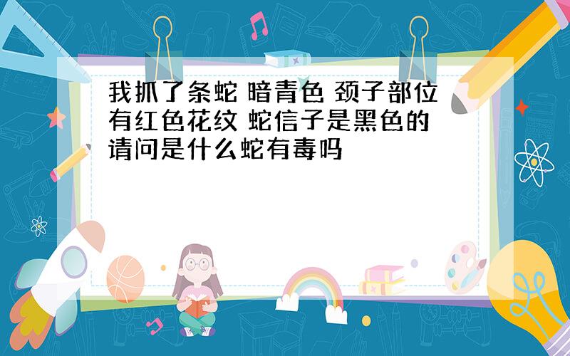 我抓了条蛇 暗青色 颈子部位有红色花纹 蛇信子是黑色的 请问是什么蛇有毒吗