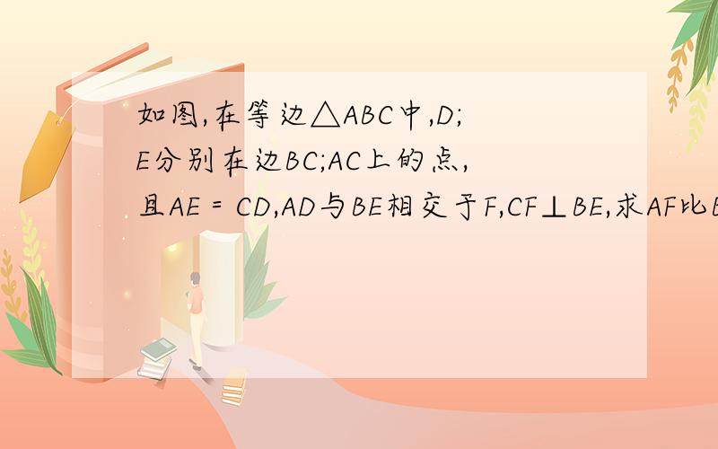 如图,在等边△ABC中,D;E分别在边BC;AC上的点,且AE＝CD,AD与BE相交于F,CF⊥BE,求AF比BF的值