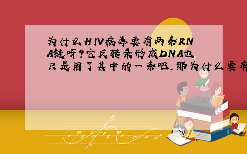 为什么HIV病毒要有两条RNA链呀?它反转录形成DNA也只是用了其中的一条吧,那为什么要有两条呀?