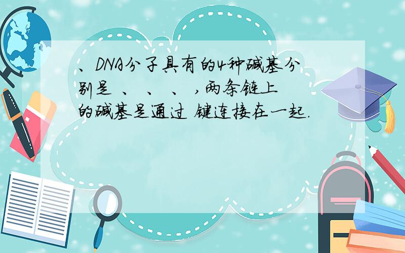 、DNA分子具有的4种碱基分别是 、 、 、 ,两条链上的碱基是通过 键连接在一起.