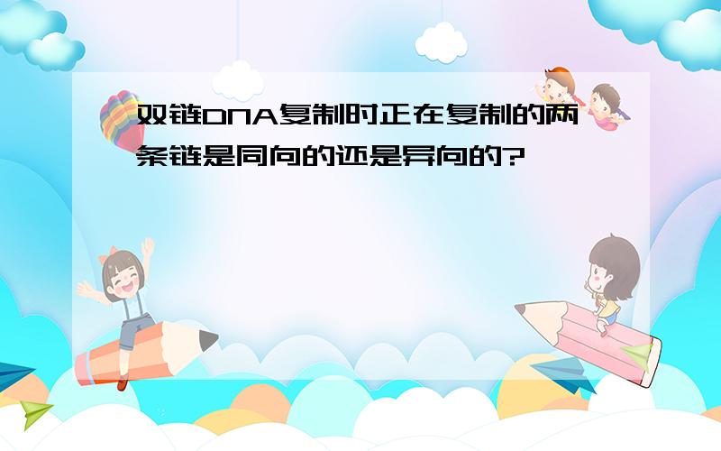 双链DNA复制时正在复制的两条链是同向的还是异向的?