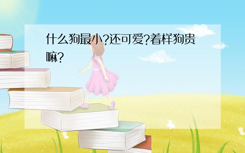 什么狗最小?还可爱?着样狗贵嘛?