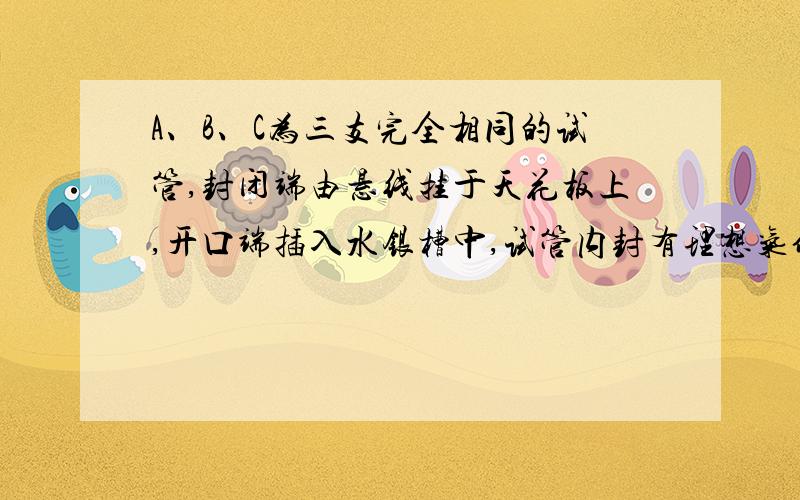 A、B、C为三支完全相同的试管,封闭端由悬线挂于天花板上,开口端插入水银槽中,试管内封有理想气体,三管