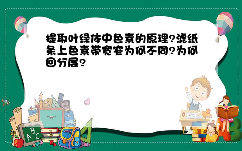 提取叶绿体中色素的原理?滤纸条上色素带宽窄为何不同?为何回分层?