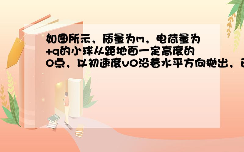 如图所示，质量为m，电荷量为+q的小球从距地面一定高度的O点，以初速度v0沿着水平方向抛出，已知在小球运动的区域里，存在